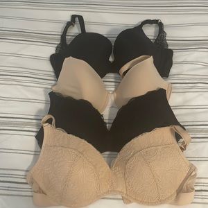 Lively Bras